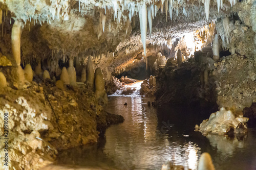 harrisons cave barbados