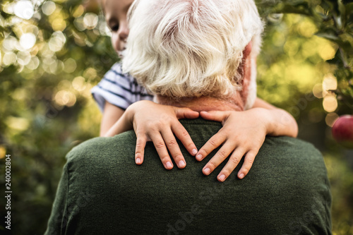 Grandfather standing back to camera and holding his grandchild