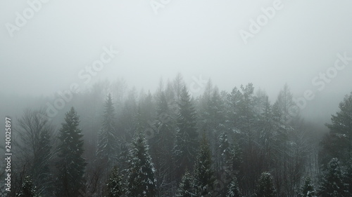 fog haze gray gloomy forest trees road path nature winter snow