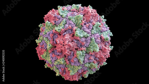 3D CG rendered image of scientifically accurate Polio Virus Capsid Structure based on PDB : 2PLV (surface style)