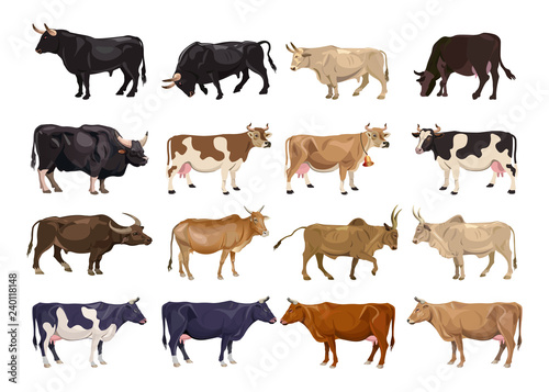 Cattle breeding set