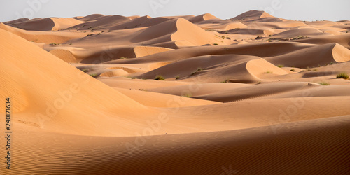 Wahiba sands, Oman desert
