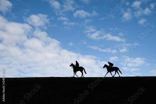 Two horses after working on the Warren Hill racehorse training gallops at Newmarket, England.