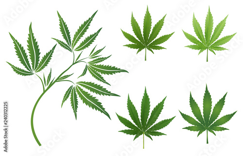 A set of cannabis icons, Marijuana leafs.