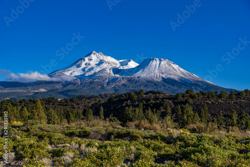 Mt. Shasta