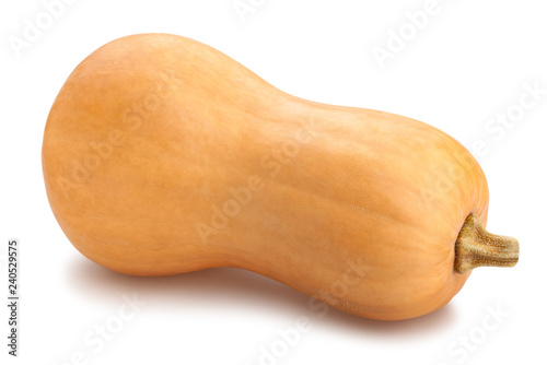 butternut squash