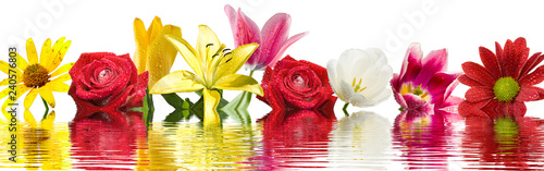 image of beautiful flowers above the water