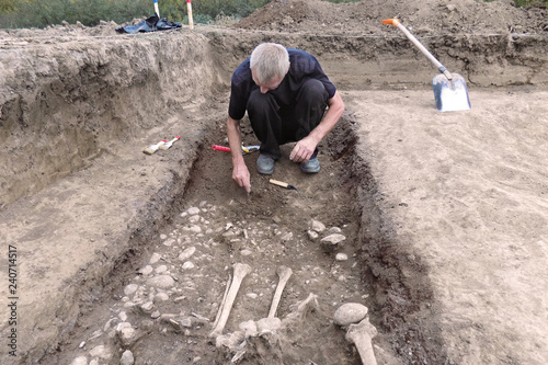 Archaeological excavation. The archaeologist in a digger process, researching the tomb, human bones, part of skeleton and skull in the ground. Hands with tools. Close up, outdoors, copy space.