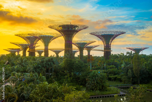 View of Supertree Grove from Gardens by the Bay, Singapore. 