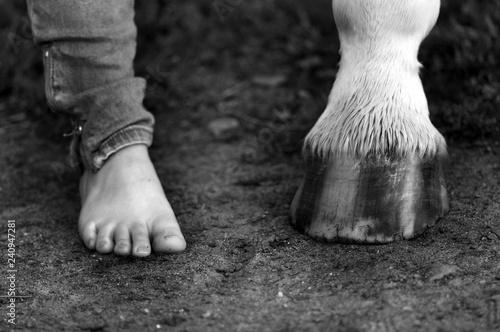 Feet and hoof