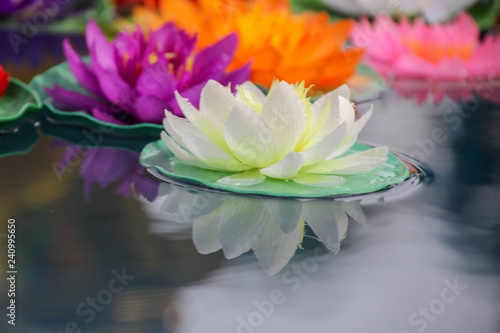 Artificial lotus flowers in various colors floating on the water surface with beautiful reflection.