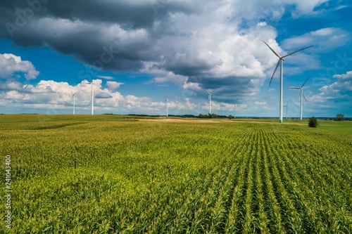 Farma wiatrowa i pole uprawne kukurydzy