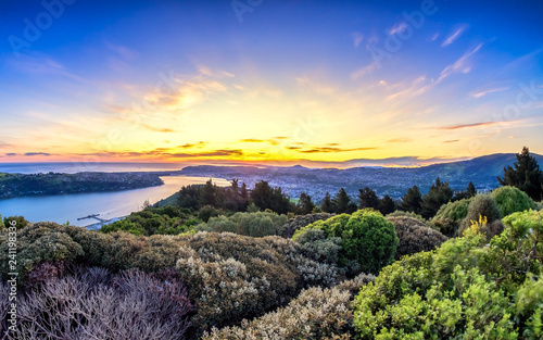 Sunset view of Dunedin, Otago, New Zealand