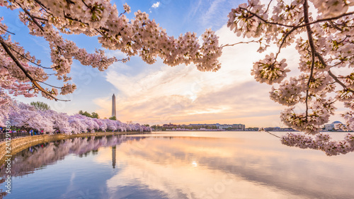 Washington DC, USA in spring season