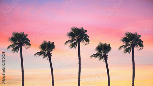 silhouette tropical palm tree with sun light on sunset sky. Copy space. Summer vacation and travel concept.