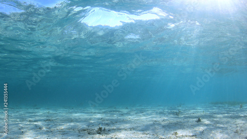 Underwater ocean background 