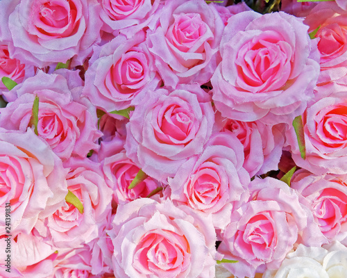 pink fake roses closeup, colorful background
