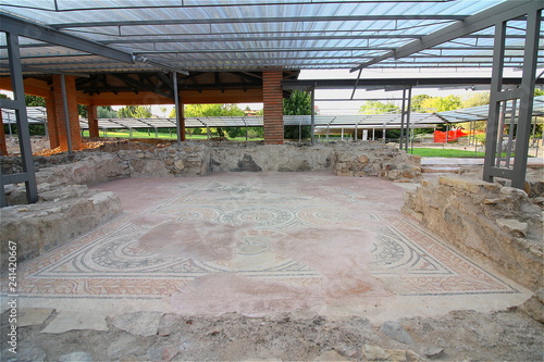 Villa romana di Desenzano del Garda, mosaici