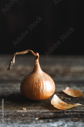 Fresh onions on rustic wooden background. Onions background. Ripe onions. 