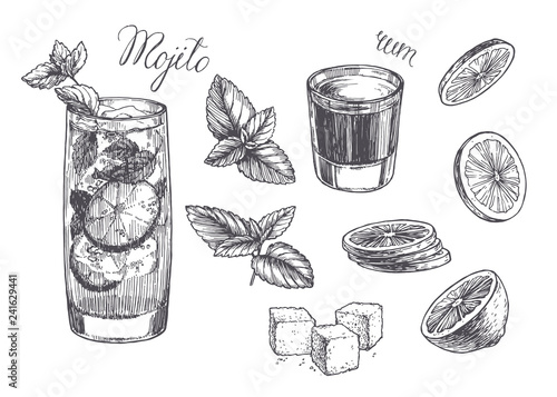 Vector vintage illustration for cocktail recipe. Hand drawn mojito in glass, peppermint leaves, slices of lime, rum and lump sugar. Sketch of ingredients and drink.