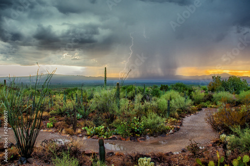 Arizona Desert Monsoon Storm with Dramatic Skies at Sunset