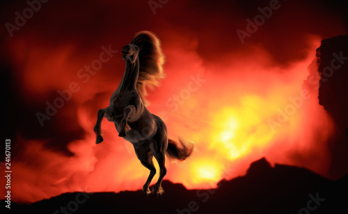 Black running horse against orange fire background