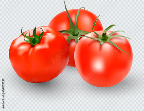 Tomato set. Red tomato collection. Photo-realistic vector tomatoes on transparent background