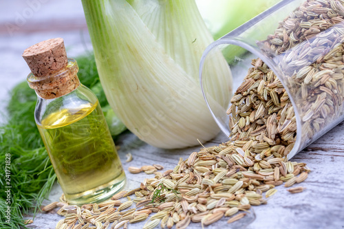 A bottle of fennel essential oil with fresh green fennel twigs and fennel seeds in the background