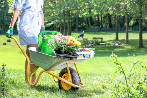 pretty blond woman works in the garden in spring - she pushes a wheelbarrow with flowers and earth over a green meadow