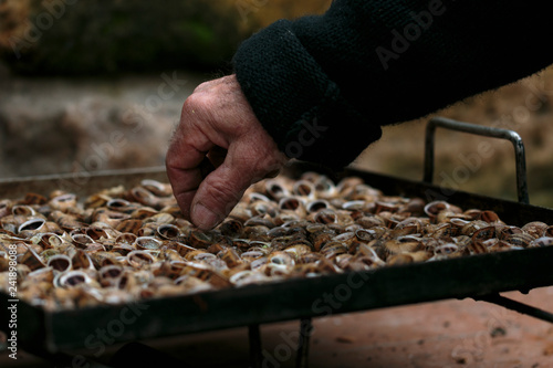 Man cooking Caragols a la Llauna. Typical dish from Catalonia, Spain.