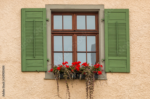 Window with green shutters and a flower box with red flowers