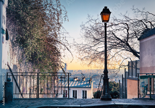 Street lamp and Paris skyline seen from Paris, France