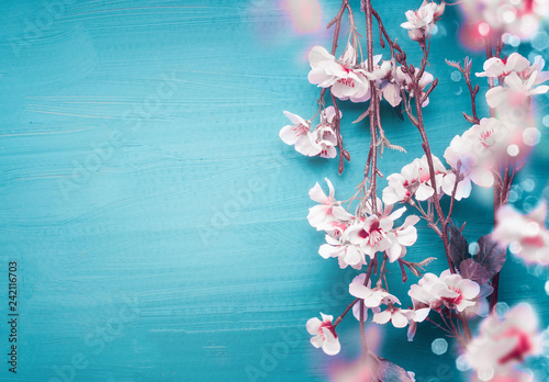 Pretty spring cherry blossom branches on turquoise blue background with copy space for your design. Springtime holidays and nature concept