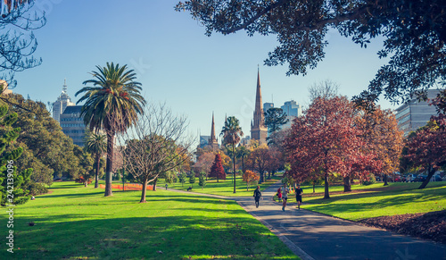 Long shot of St Patrick's Cathedral from Fitzroy Gardens