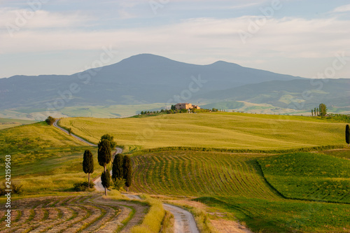 Tuscany landscape, Pienza, Italy