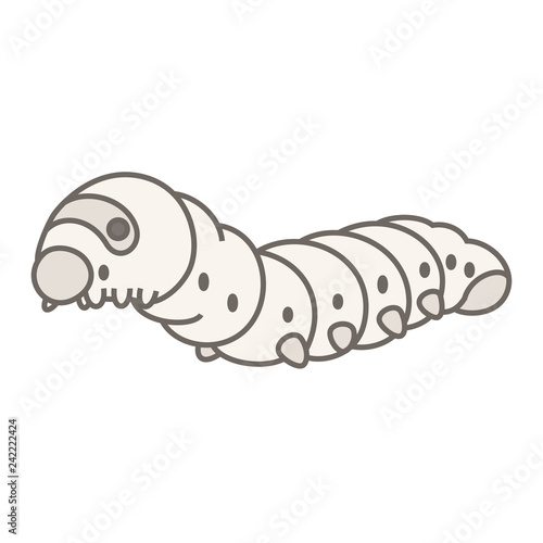 カイコガの幼虫