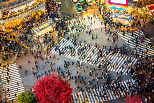 Shibuya Crossing, Tokyo, Japan