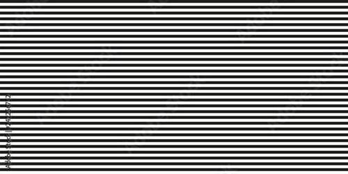 Stripe pattern. Line background. Seamless abstract texture with many lines. Geometric wallpaper with stripes. Doodle for flyers, shirts and textiles. Black and white illustration