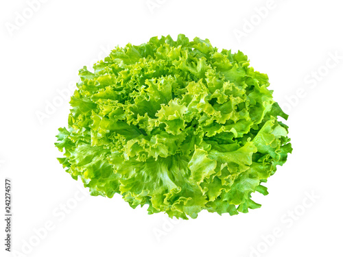 Batavia lettuce salad rosette