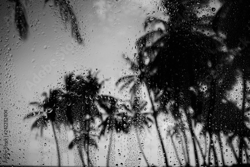 Rainy weather on tropical island glass with raindrops and palm trees