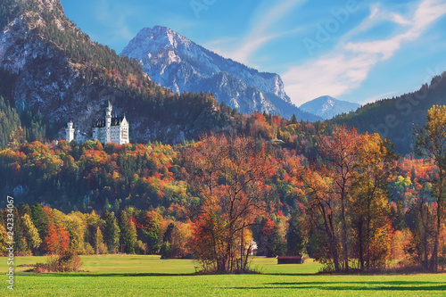 Beautiful Neuschwanstein castle in Bavaria, Germany, popular travel destination