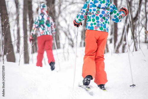 two children cross-country skiing in the winter forest in the snow