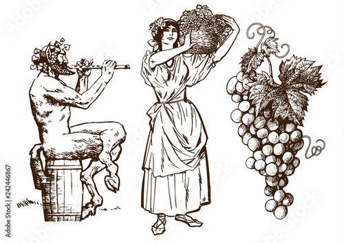 Satyr sitting on the barrel, beautiful peasant woman carrying basket and bunch of grapes. Design elements for wine list. Hand drawn vector illustration Isolated on white background.