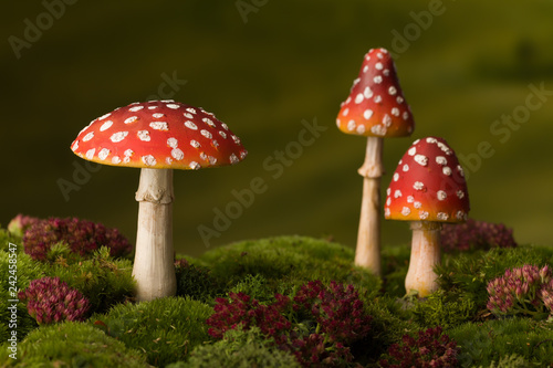 Three red toadstools