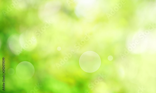 Abstract green spring scenery