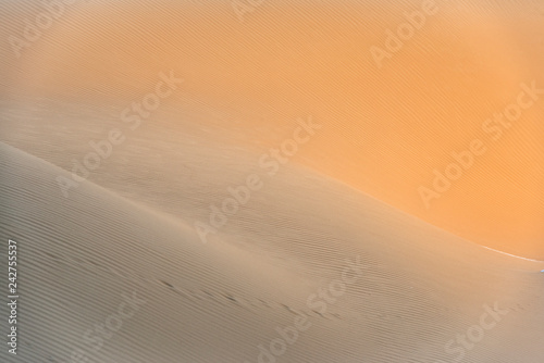 Abstract desert sand pattern shaped by low sunlight and wind formed ripples