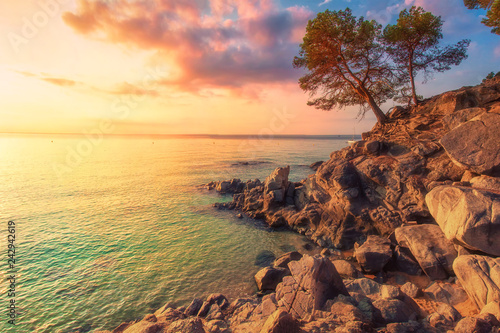 Tropical sea landscape in Costa Brava, Spain