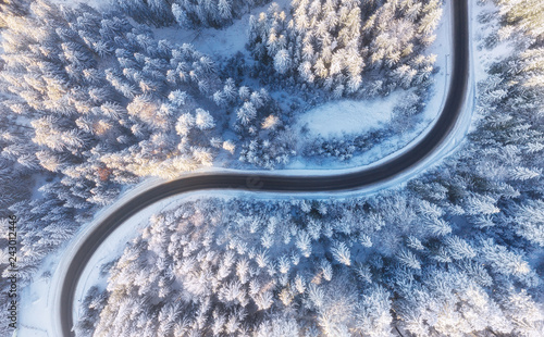 Aerial view on the road and forest at the winter time. Natural winter landscape from air. Forest under snow a the winter time. Landscape from drone