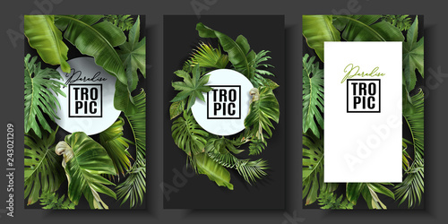 Vector banners set with green tropical leaves