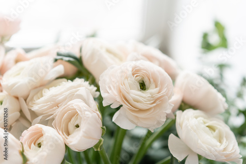 Persian buttercup in glass vases. Bunch pale pink ranunculus flowers light background. Wallpaper. Winter season flowers